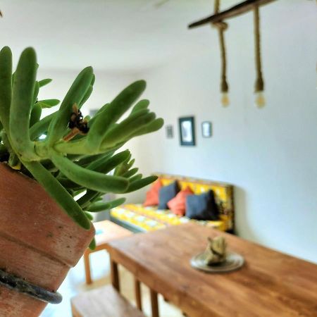 Solstice Hostel Санта Мария Екстериор снимка
