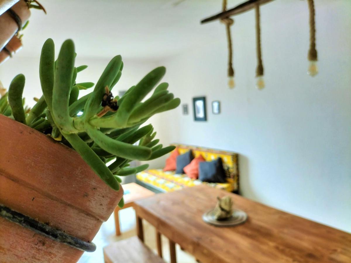 Solstice Hostel Санта Мария Екстериор снимка